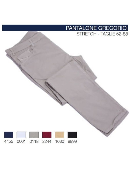 Pantalone Gregorio Maxfort 5t t.u.